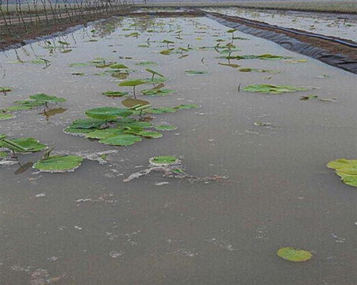 魚塘防滲土工膜